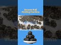 Sesame Ball Molding Machine,Sesame ball making machine,sesame ball equipment#sesameballs #machine