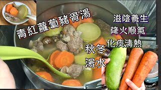 青紅蘿蔔豬骨湯 秋冬湯水 降火順氣 化痰清熱 簡單做法