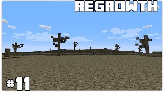 Regrowth #11 - Alfheim Portal & Witchery Altar