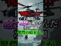 “判断ミス!?”自衛隊に怒号が飛んだ次の瞬間驚愕の結末が..