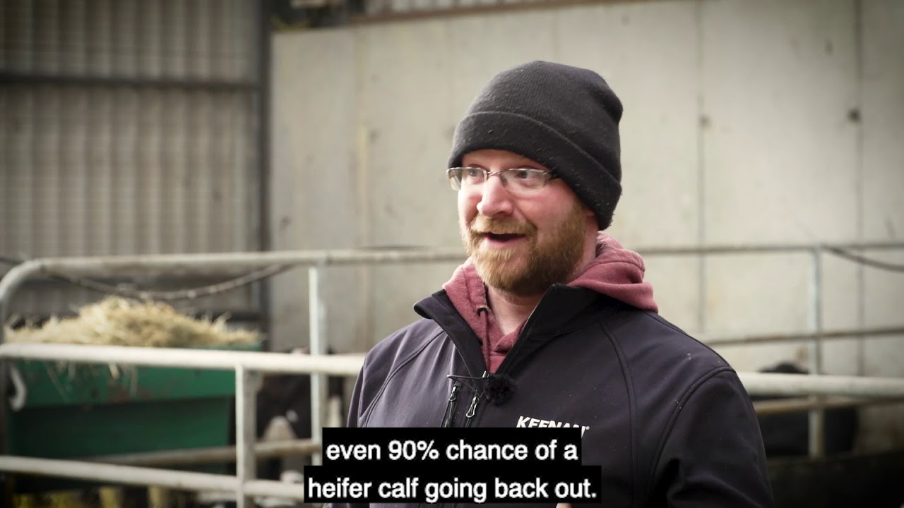 George Goes Dairy Farming: Part 7 - YouTube