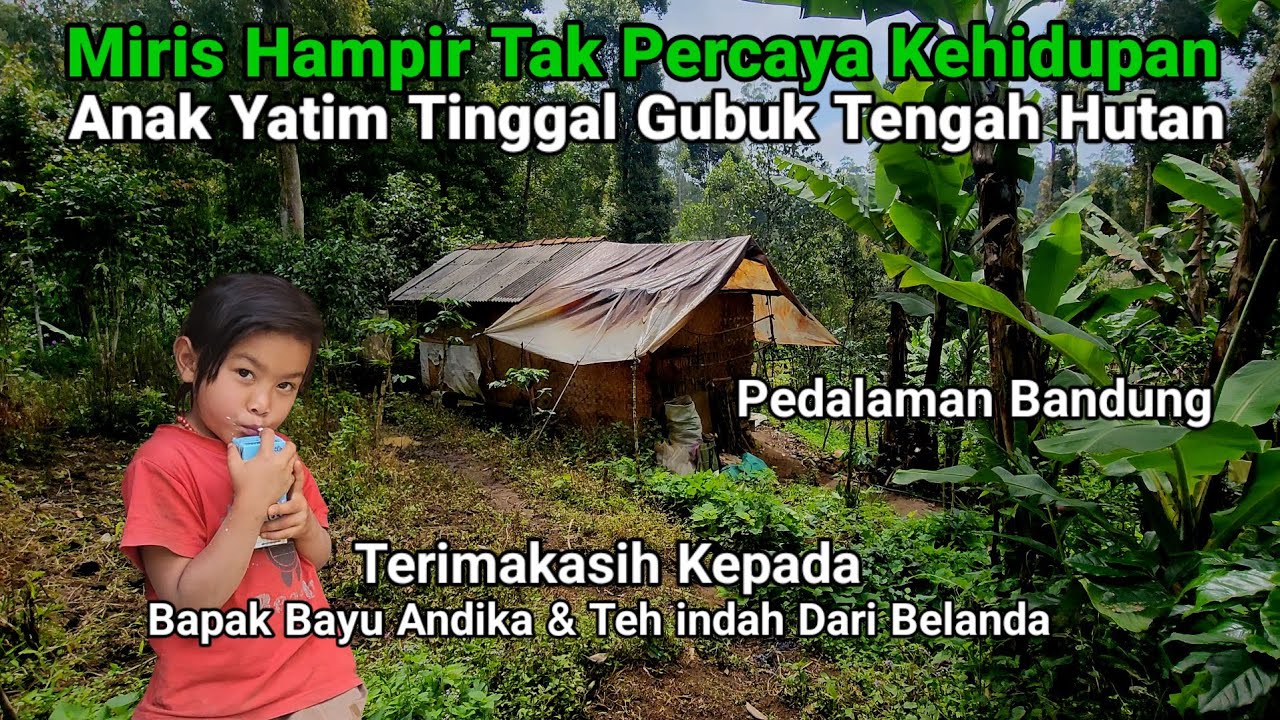 Miriss Hampir Tak Percaya Anak Yatim Tinggal Di Gubuk Tengah Hutan