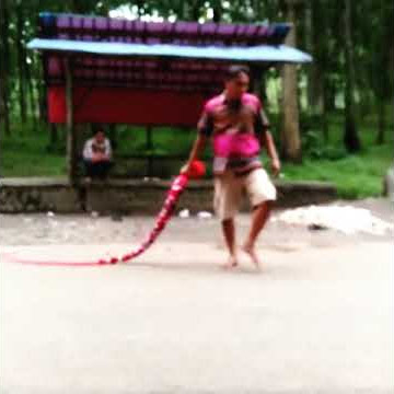tes suara pecut bopo