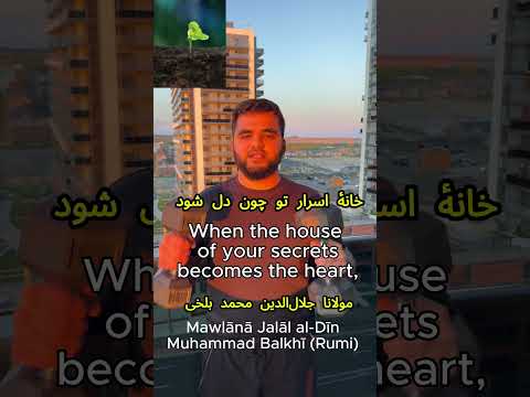 مولانا و راز رشد پنهان      