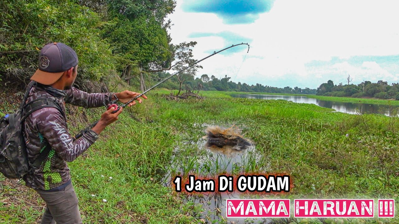 Inilah Keinginan Para Pemancing Namun Kadang Saat OTW Hasil Tak Sesuai Kenyataan 🤣🤣🤣