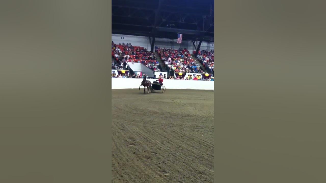 the-big-e-horse-show-pony-carts-youtube