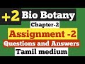 12th Bio Botany July Month Assignment Answer Key Download PDF Tamil Medium