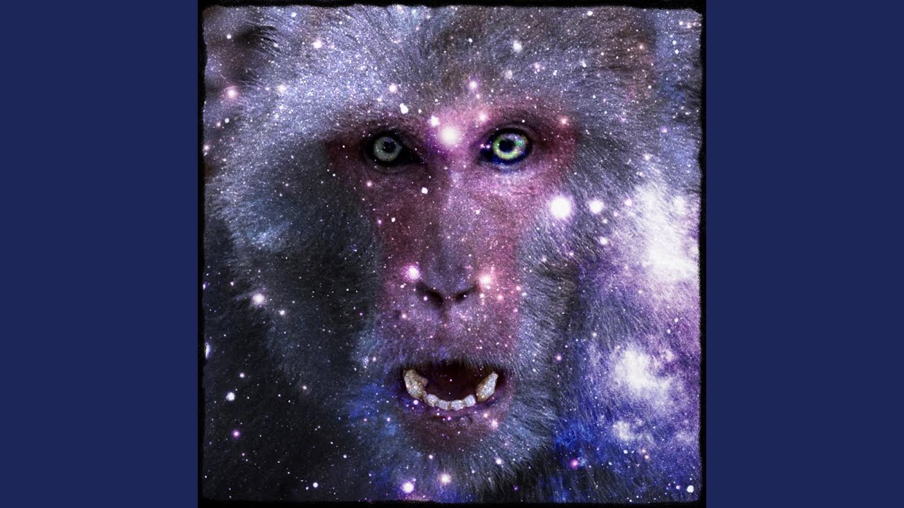 Ver Monkey Prison no YouTube Ver Monkey Prison no YouTube