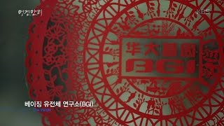 [HIT] 명견만리 - 중국의 ＂천재유전자 프로젝트＂ 우월한 인간을 찾습니다.20151210