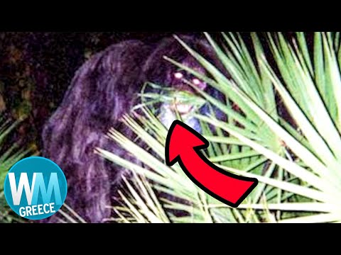 Top 10 - ΣΟΚ! Τα διασημότερα τέρατα που πιάστηκαν σε κάμερα!