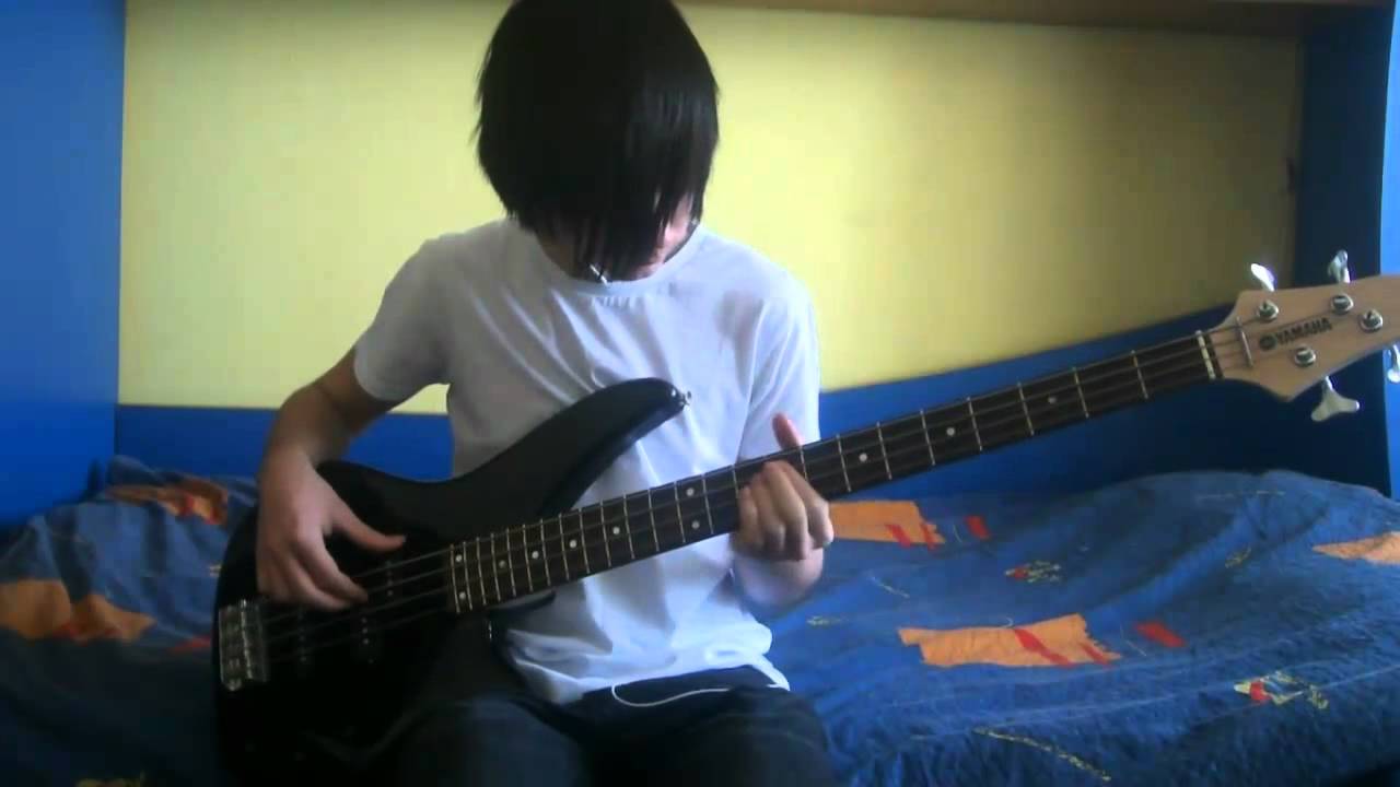 Red Hot Chili Peppers - Snow ( Hey Oh ) ( Bass Cover )