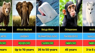 List of Mammal | Lifespan of Mammals Name and Diet by real data 15 views 11 days ago 7 minutes, 14 seconds