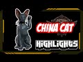 China cat  path of exile highlights 485  ruetoo aer0 alkaizer mathil and others
