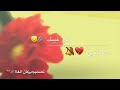 يشوق جوي عليه غبار يشوق جوي عليه غبار