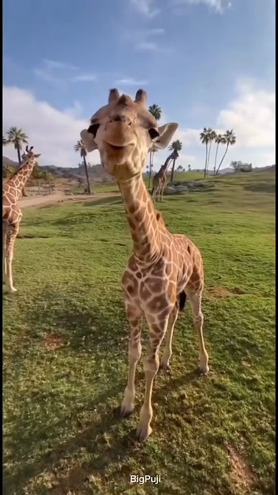 Nature Transformation!