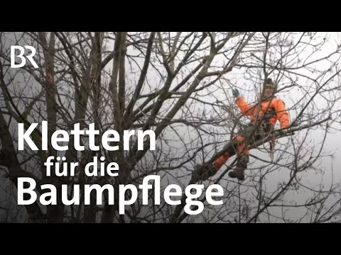 Video: Hüften reduzieren: 14 Schritte (mit Bildern)