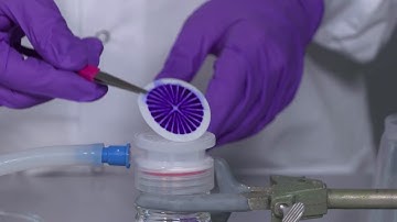 How to use a Natrix® Q chromatography membrane for bioseparation and anion exchange