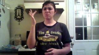 asl 3 final worst vacation