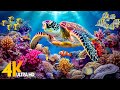 Ocean 4K - Sea Animals for Relaxation, Beautiful Coral Reef Fish in Aquarium (4K Video Ultra HD)