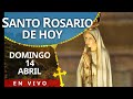 En vivo santo rosario de hoy domingo 14 de abril 2024  ftima per