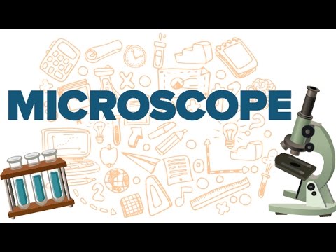 Activité 4 - Apprendre à utiliser un microscope optique. - SVT - collège  Condorcet