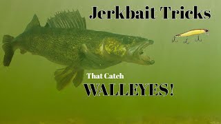 Keys to Catching Jerkbait Fish