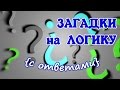 Загадки на логику с ответами / 7 задач + бонус