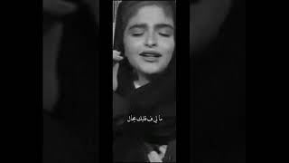Arabic Song short  || حلا الترك  صرت في عمري خيال