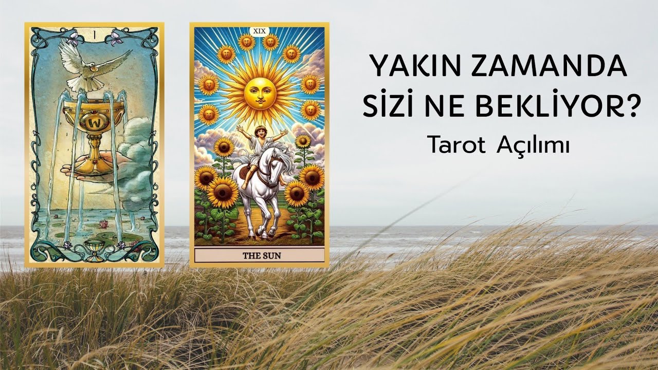 Şu anda ne durumdasınız ve yaklaşan etkilerde sizi ne bekliyor?Tarot uyarıları ve mesajları