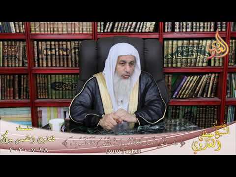 معني ولا تهنوا في ابتغاء القوم الشيخ مصطفي العدوي