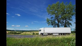 Digitization → Environmental Benefits