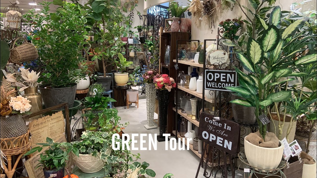 観葉植物】大阪の難波にあるガーデニングショップ完全室内管理の蛍光灯