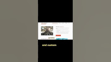 Feature Face-Off: Magento’s Enterprise Power vs WooCommerce’s Plugin Flexibility!