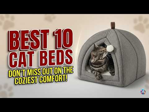 10 Best Cat Beds in 2026 🏆 (Tested & Reviewed by Real Cats!) thumbnail