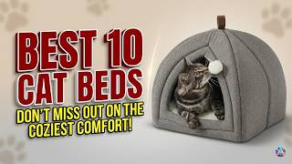 10 Best Cat Beds in 2026 🏆 (Tested & Reviewed by Real Cats!)