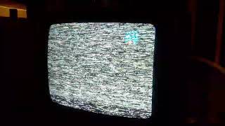 White Screen Of Death Static And Moaning Sound On My It's The Easter Beagle Charlie Brown 1994 Vhs
