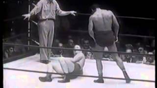 Wild Red Berry V Cyclone Anaya