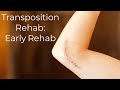 Ulnar Nerve Transposition Rehab Exercises (Early Recovery Exercises)