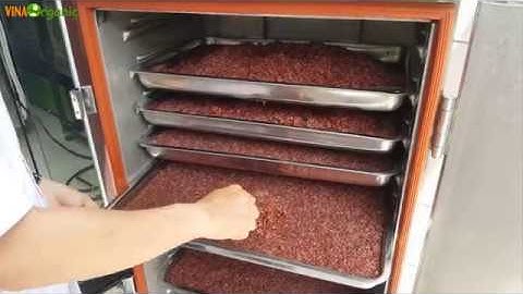 Máy nấu hấp cơm công nghiệp 10 khay, công nghệ cơm cháy, gạo lứt cháy tỏi