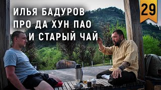 Илья Бадуров про Да Хун Пао и Старый чай