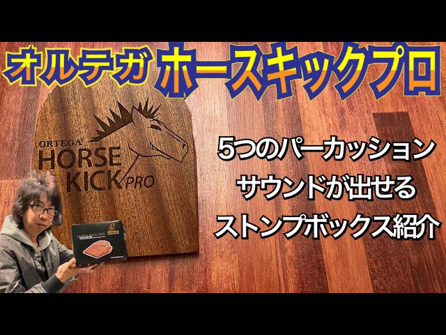 豊*輔様 ORTEGA HORSE KICK PRO オルテガ ホースキックプロ Amazon | ORTEGA オルテガ フットパーカッション Digital Stomp