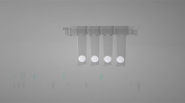 Macro&Micro-Test Eudemon™ AIO800 Automatic Molecular Detection System