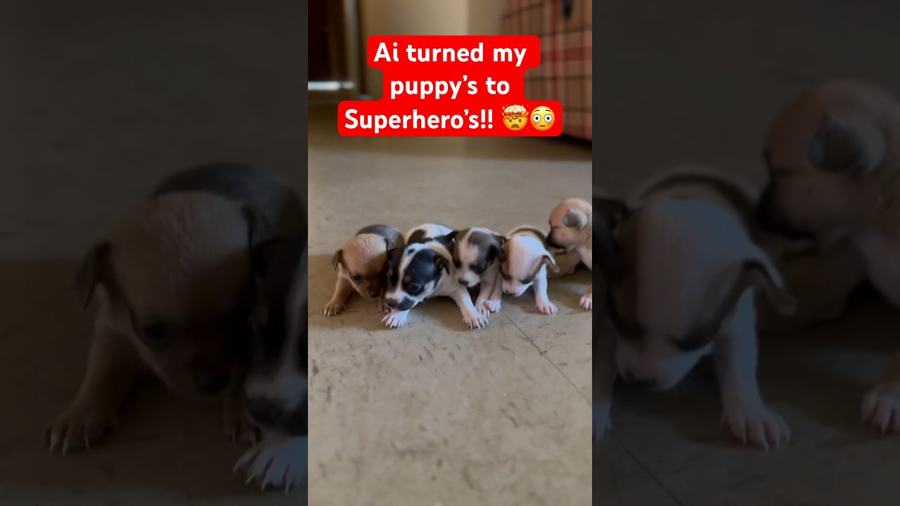 Using (Stable Diffusion) Ai Generated video on my puppies! ๐ถ๐คฏ๐ฎ๐ณ #ai #stablediffusion #trending
