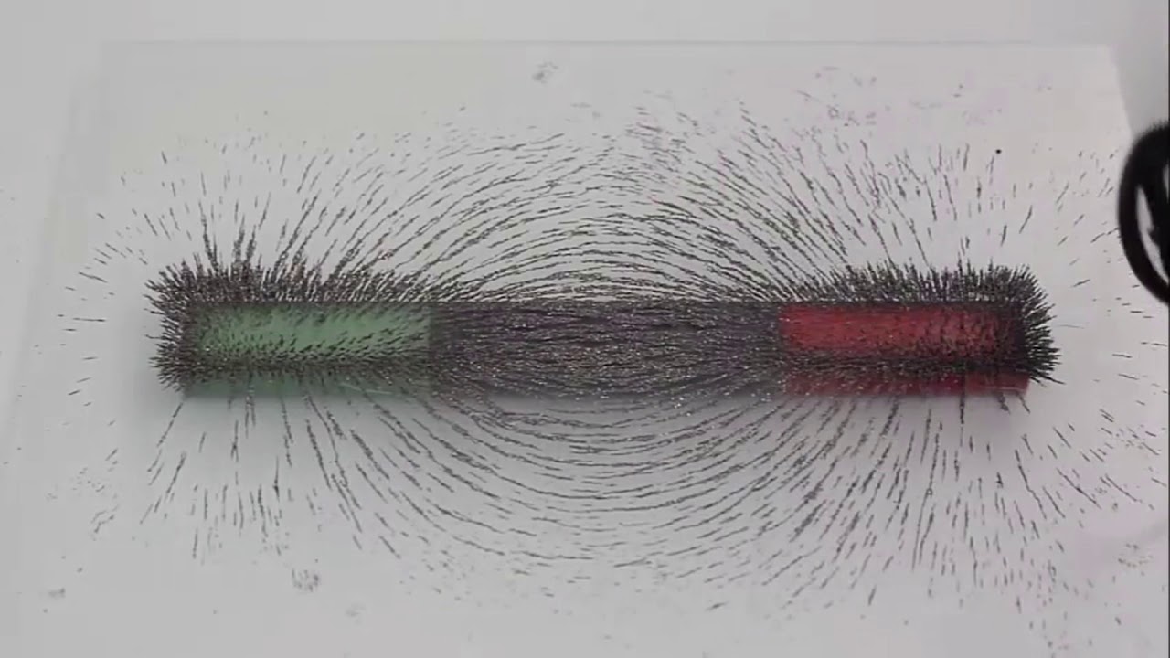 Feld und elektrische Kräfte YouTube Feld und elektrische Kräfte YouTube