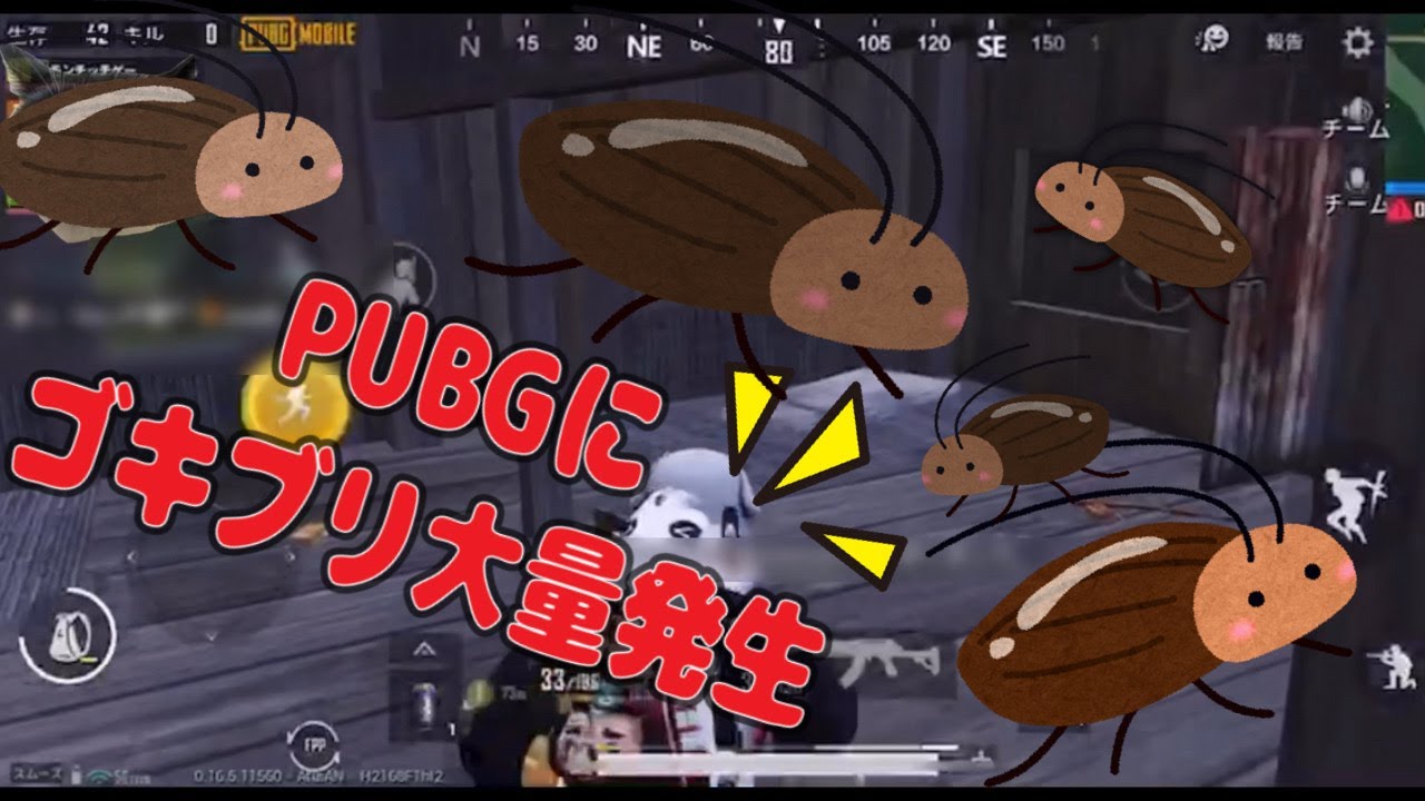 ゴキブリ大量発生?!! YouTube ゴキブリ大量発生?!! YouTube