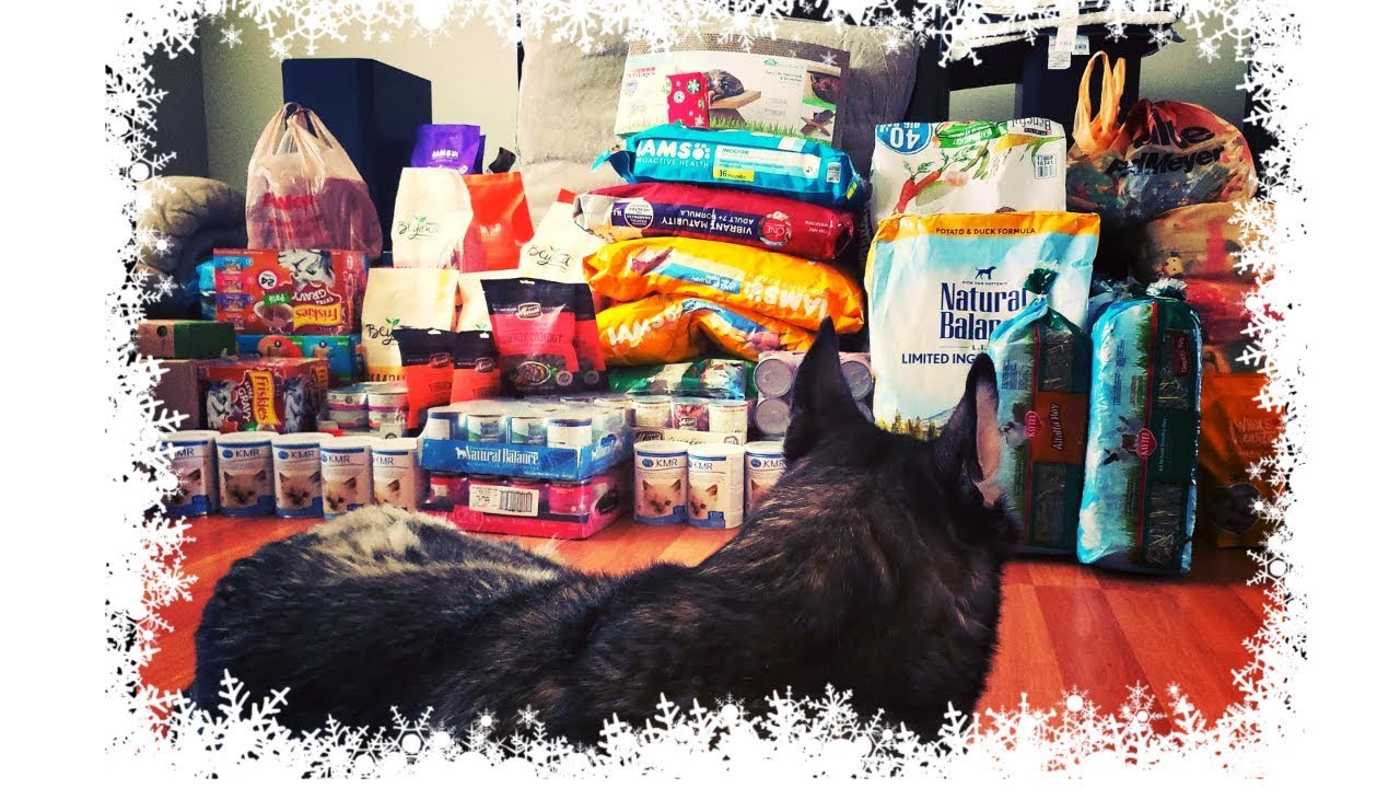 Donating a Truck Load of Supplies to Animal Shelter YouTube