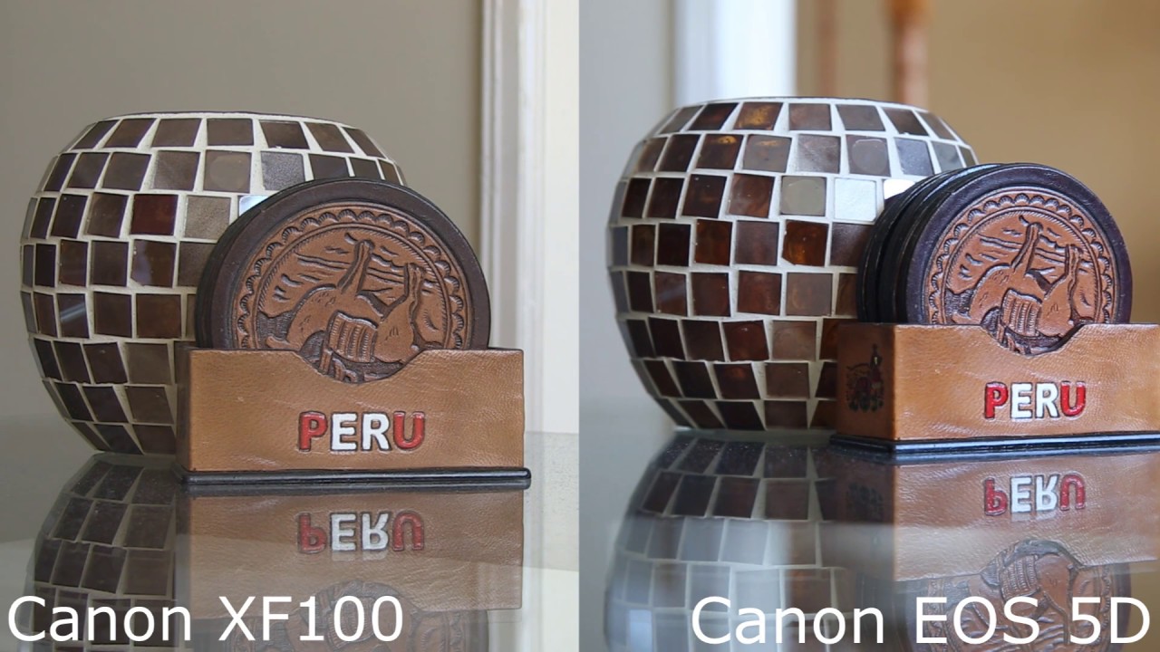 Canon XF100 vs Canon EOS 5D Mark III (Shot for Shot Comparison)
