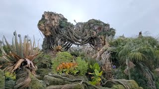 Live: New No Mask Disney Policy | Animal Kingdom