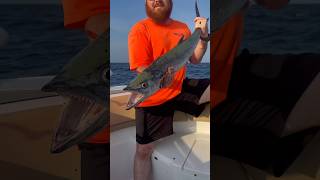 The Best Way To Cook King Mackerel