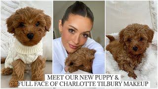 MEET OUR NEW TOY MALTIPOO PUPPY &amp; FULL FACE OF CHARLOTTE TILBURY PILLOW TALK MAKEUP